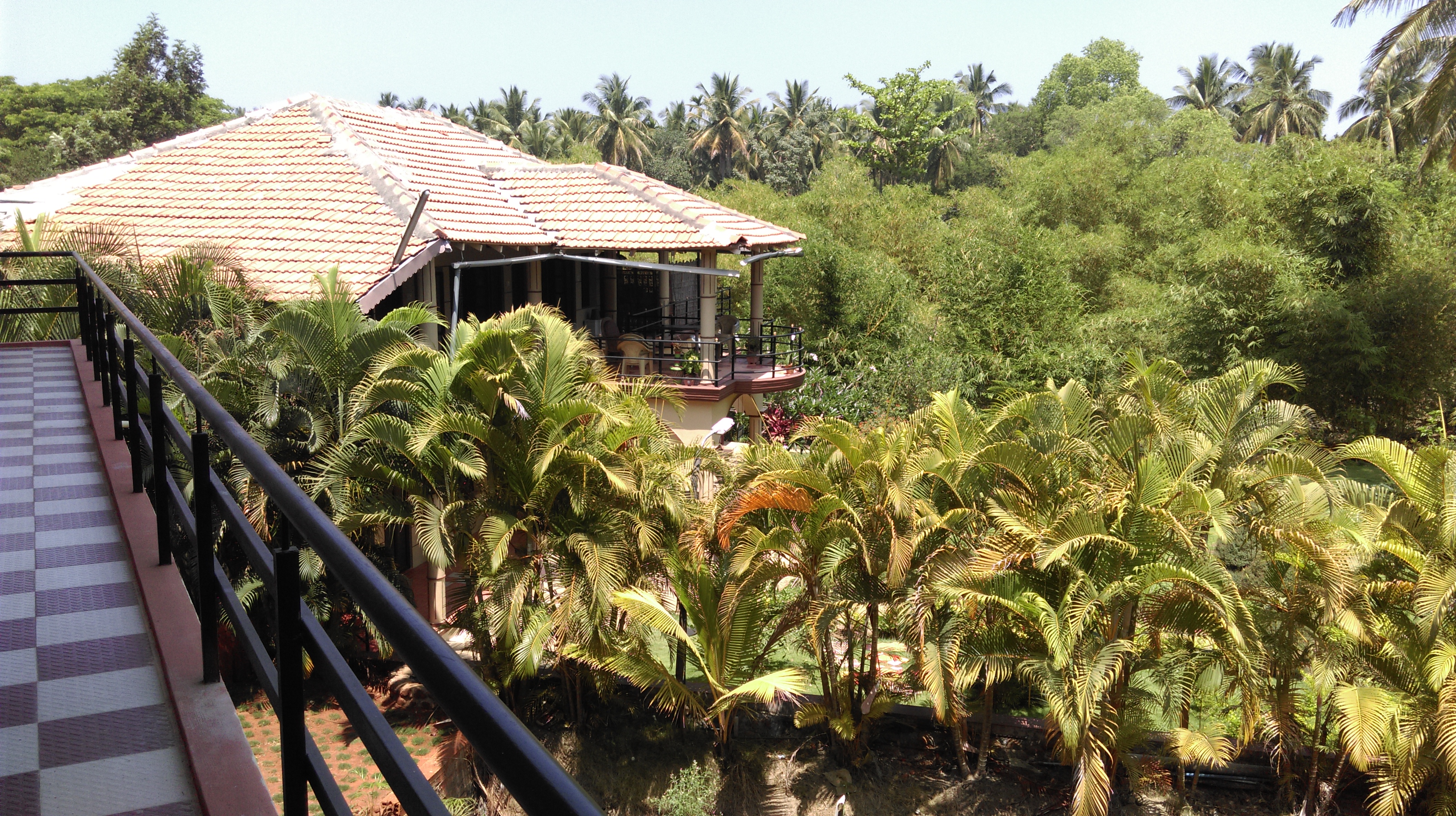View from my room at Samyak Yoga School, Mysore 2016